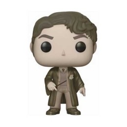 Acheter Figurine Pop Pop! Harry Potter Black and White Tom Riddle Edition Limitée Funko Pop – Stock en Suisse – Livraison rapide