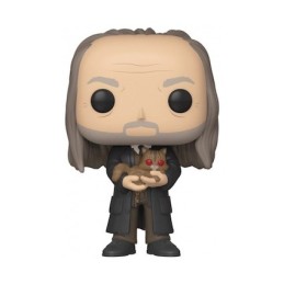 Acheter Figurine Pop Pop! NYCC 2019 Harry Potter Argus Filch and Mrs Norris Yule Edition Limitée Funko Pop – Stock en Suisse ...