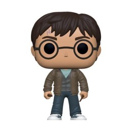 Funko Pop Figur Pop! Harry Potter with Two Wands Limitierte Auflage Funko Pop kaufen – Lager in der Schweiz – Schneller Versand