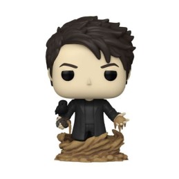 Figuren Pop! NYCC 2024 Sandman TV Dream Limitierte Auflage Funko Pop Schweiz