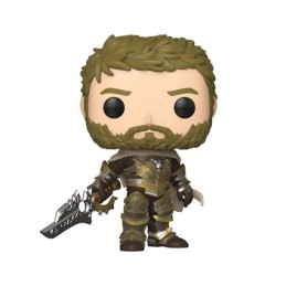 Funko Pop Figur Pop! Games World of Warcraft Anduin Funko Pop kaufen – Lager in der Schweiz – Schneller Versand