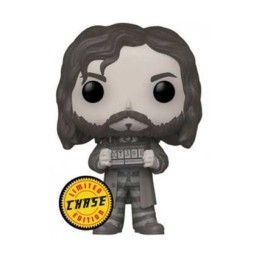Acheter Figurine Pop Pop! Sirius Black Azkaban Prison Dark Chase Limited Edition Funko Pop – Stock en Suisse – Livraison rapide